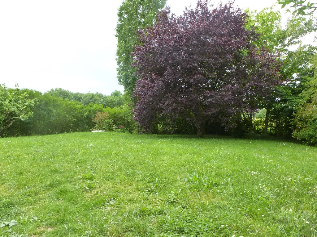 maison à Auxerre — photo 3 sur 10