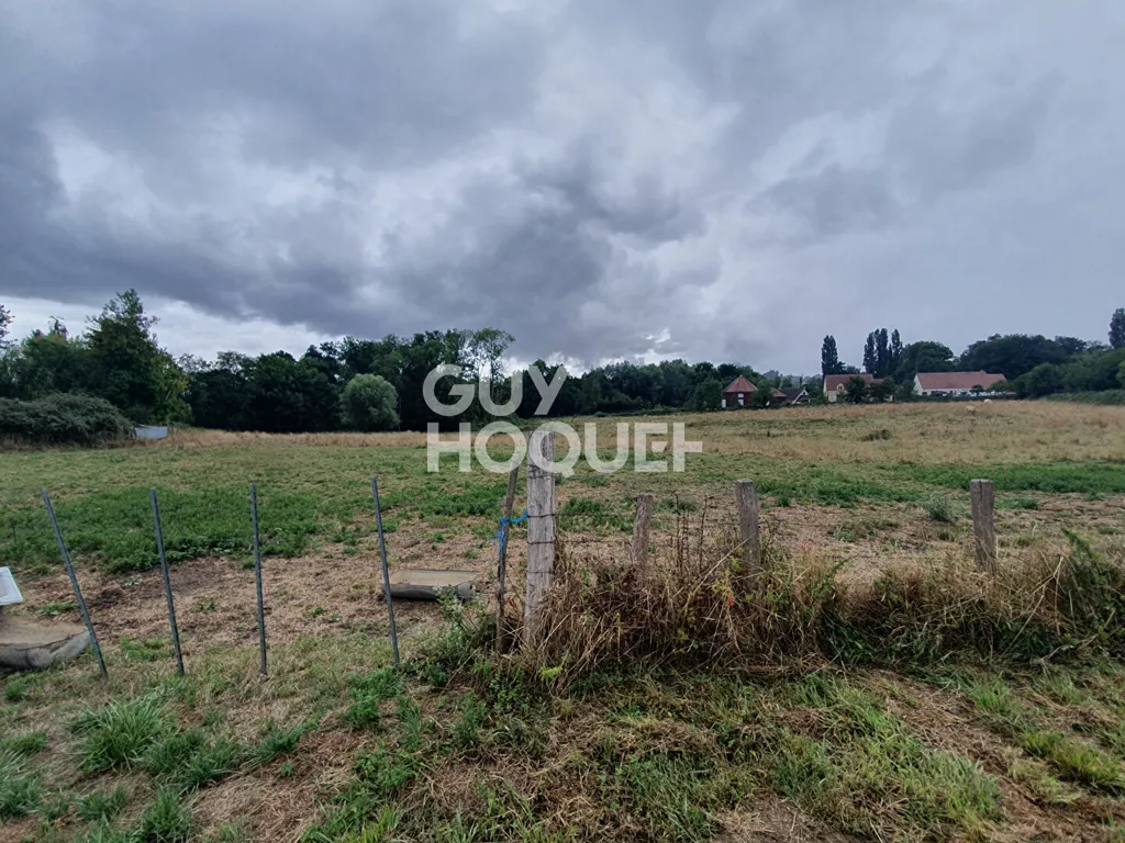 terrain à CHARBUY, 14873 m² — photo 3 sur 4
